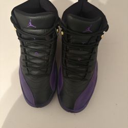 Jordan 12 Field Purple Size 10
