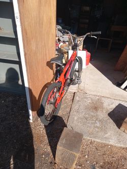 Mongoose "Ravage " 20" 