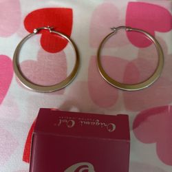 Origami Owl Silver Color Hoop Earrings 