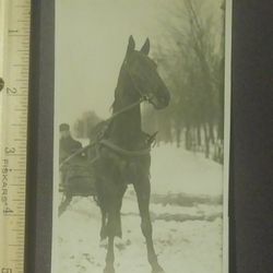 1900's RPPC Horse Sleigh Winter Snow Vintage Antique Real Picture Postcard Post Card PC Collectible