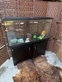 Large Glass Fish Tank with Black Cabinet Stand and accessories no filter.