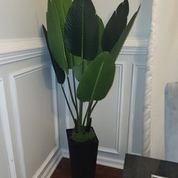 Like New Artificial Plant 4.5ft