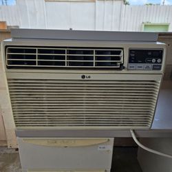 LG LWHD1009R 10,000 BTU Window A/C 115V R22 Through-the-Wall/Window