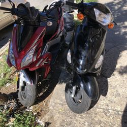 Pasola bike online for sale