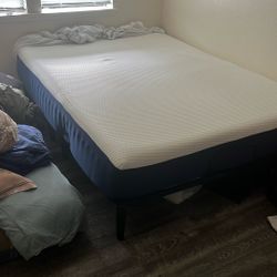 Only Bed And Bed Frame