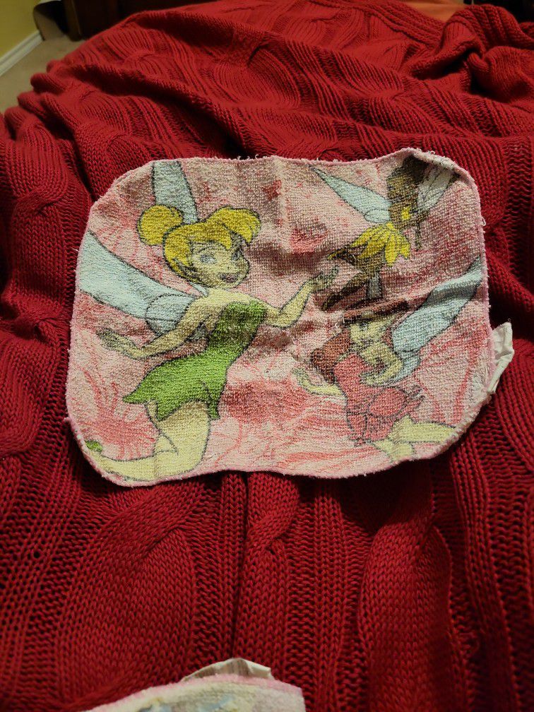 Princess And Tinkerbell And Friends Rags
