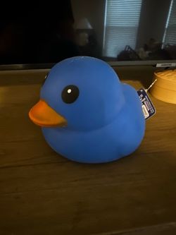 Duck squishy