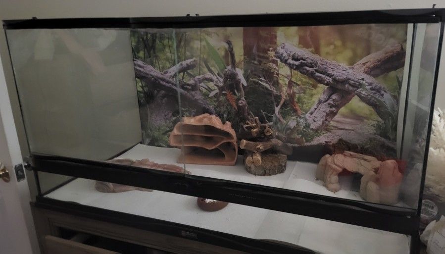 Zoo Med Naturalistic Front Opening Reptile Terrarium