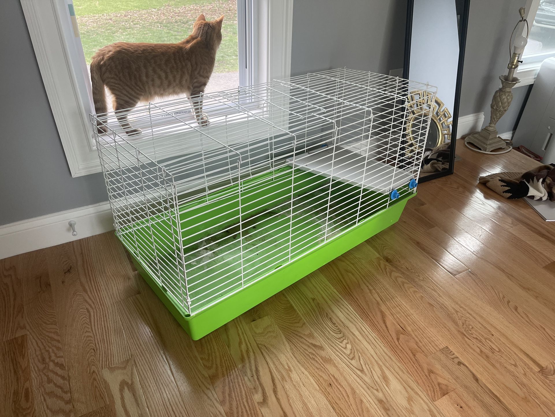 Animal Cage Guinea Pig, Bunny, Small Animal
