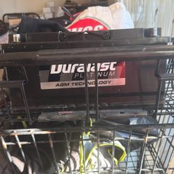 Duralast Car Battery 