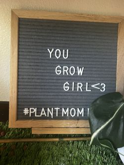Wood Letter Board With All Letters