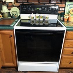 Amana Electric Stove