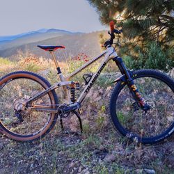 Transition Sentenial
