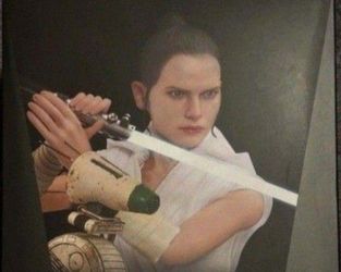 Hot Toys 🔥 Rey & D - O