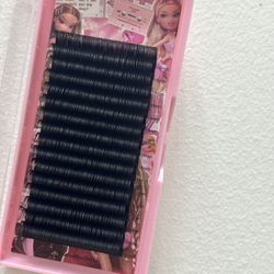 lash trays