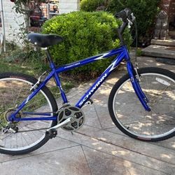 27 Inch Schwinn Bike