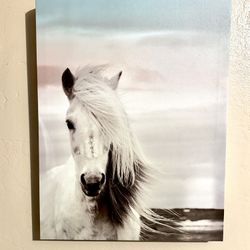 2015 Artissimo Sports & Entertainment “Horse Canvas Wall Art”