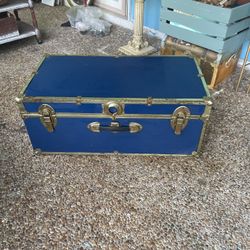 Navy Blue Trunk