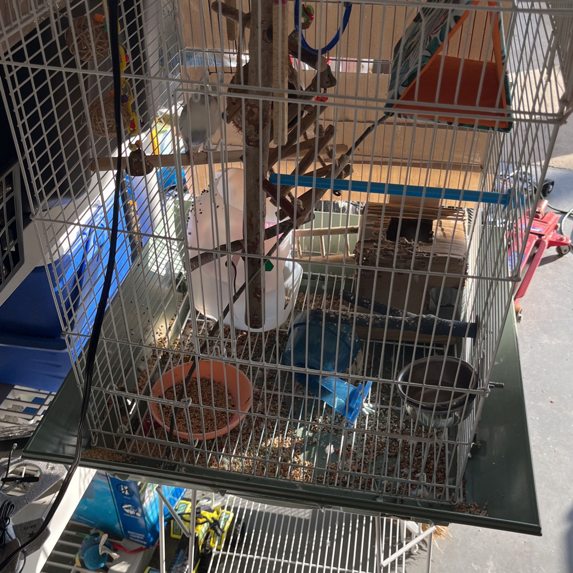 Bird Cage For Rehome