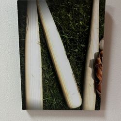 Baseball Wall Art Decoration, Louisville Sluggers Peek Of Ball & Glove