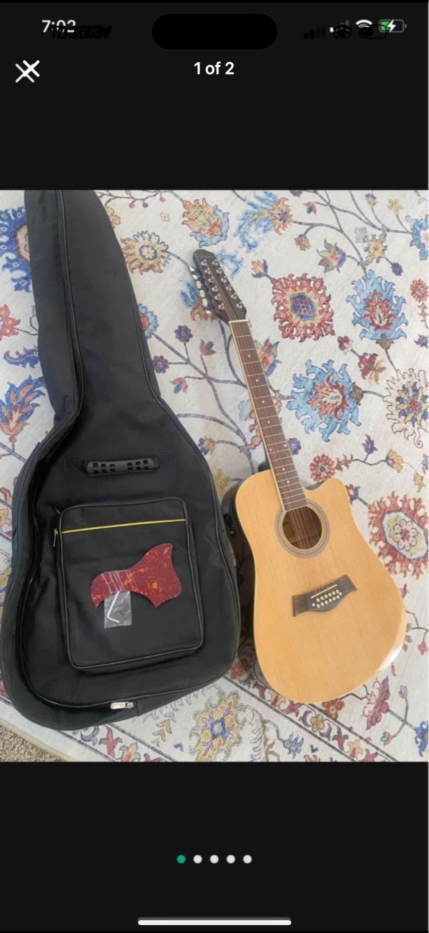 Electric Acoustic Guitar 12 String