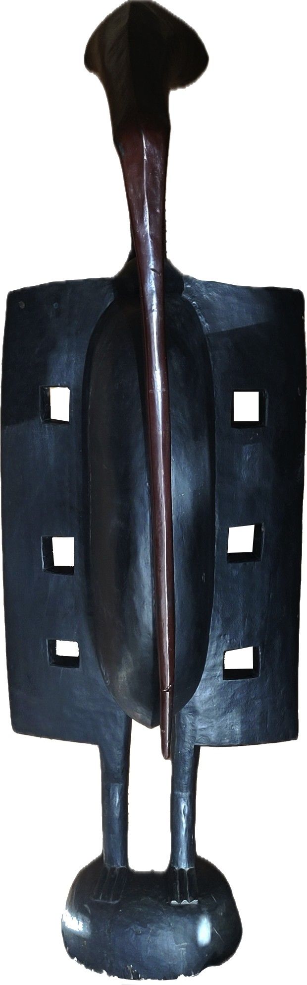 Large Hornbill Birds