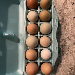 Fresh Organic Chicken Eggs