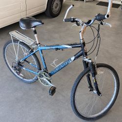 Raleigh Sc30 Adult Bike.