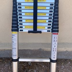 Telescopic Ladder