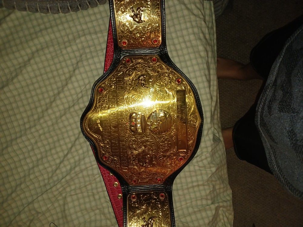 2015 Wwe World Heavyweight Championship Belt