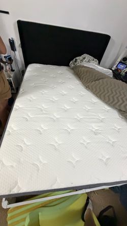 FREE BED QUEEN