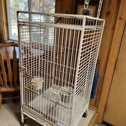 Bird Cages