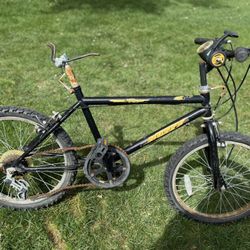 Huffy Five Express Project Bike