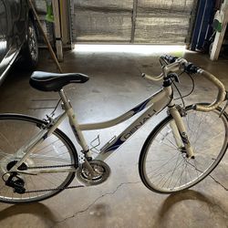 DanAli Aluminum Bike