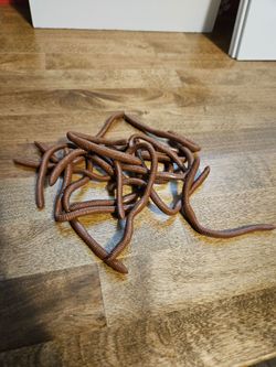 HALLOWEEN! Realistic earthworms