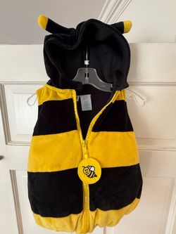 Baby Bee Costume