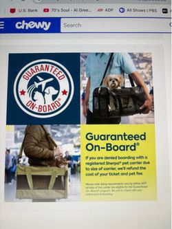 Airline approved pet carrier