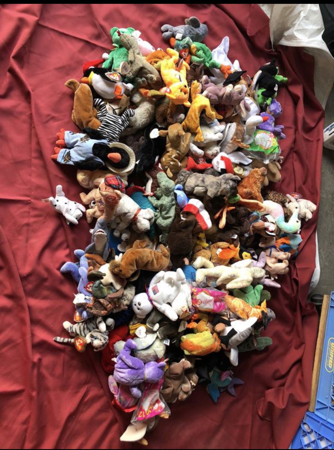120 TY Retired Beanie Baby Collection! Great value.