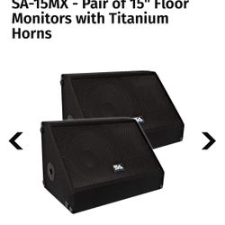 Seismic Audio 15 Floor/stage Monitor 