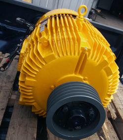 Electric motors repair