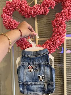 Disney Theme Dog Jean Jacket 