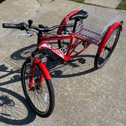 3 Wheel Tricycle 