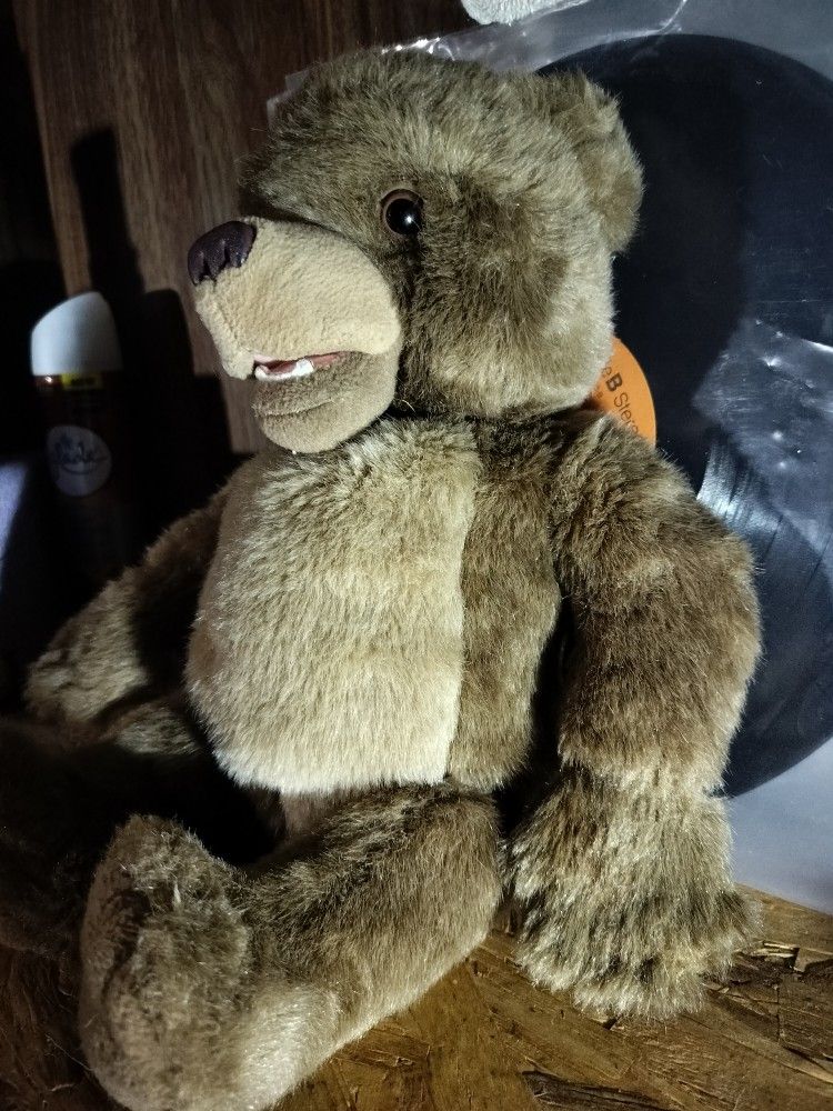 1998 Talking Little Bear Plushie
