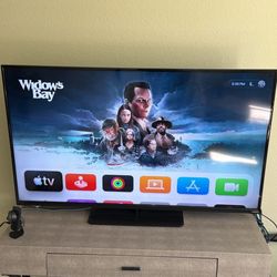 Vizio 48” TV