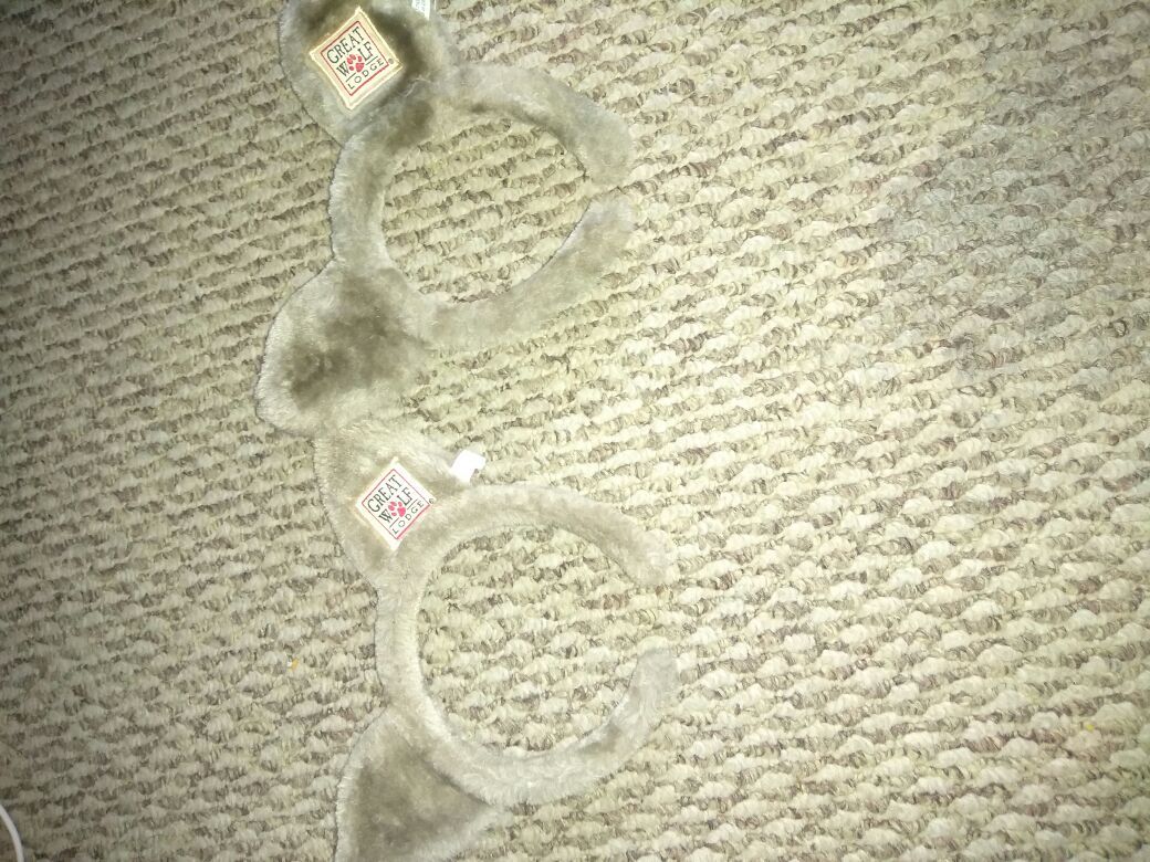Great Wolf Lodge ears