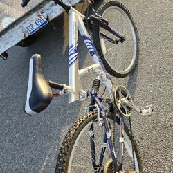 Heavy Duty Mountain Bike