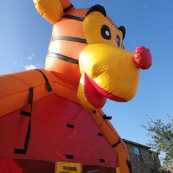 Bounce House With Blower 