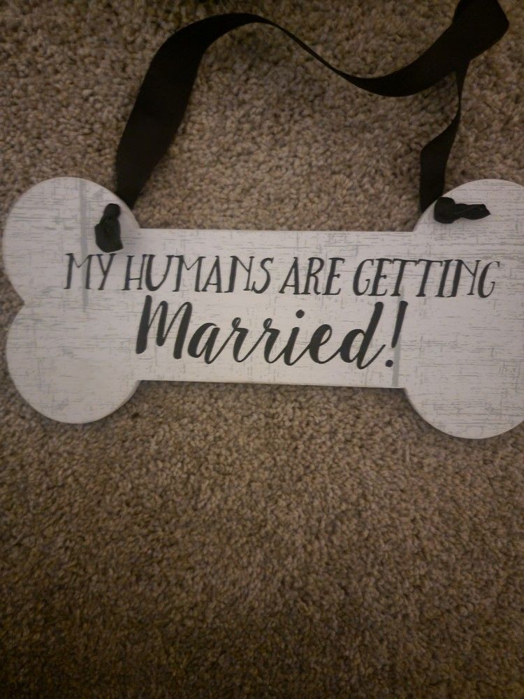Wedding Wear For Dogs