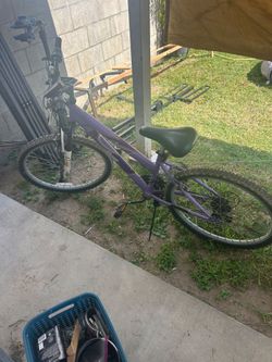Rallye Incline Bike