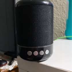 Bluetooth Speaker